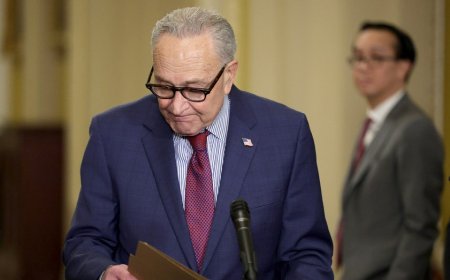 Illinois Dem Senate candidates split on backing Schumer as leader