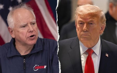 Tim Walz accuses Trump of 'organized brutality' in immigration crackdown, says ICE tactics are 'un-American'