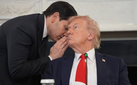 Trump hails Rubio as diplomatic mentor as secretary of state's power grows