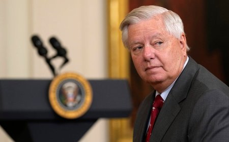 Graham pushes back on Tillis' criticism of Noem, Miller for labeling man killed by Border Patrol a 'terrorist'