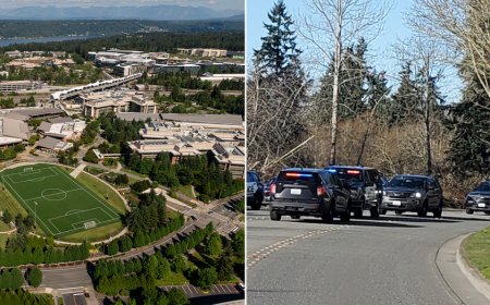 Knife-wielding attacker vanishes after random daytime stabbing rattles affluent suburb