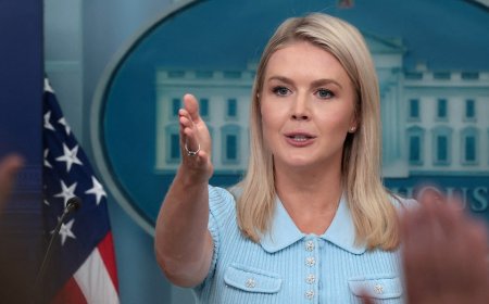 Florida issues emergency suspension of license of nurse who wished childbirth injury on Karoline Leavitt