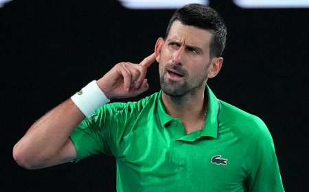 Novak Djokovic calls reporter's question 'disrespectful' after Australian Open quarterfinal win