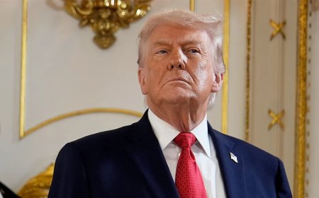 Trump taps Colin McDonald for newly-created role of assistant attorney general for fraud enforcement