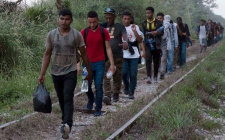 Not coming to America: The 60-year immigration bubble finally bursts