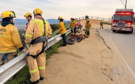 Woman airlifted to safety after plunging 150 feet down Los Angeles cliffside