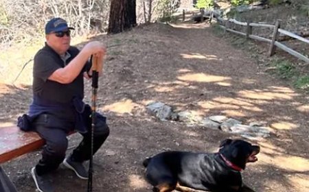 Holocaust survivor killed in Maserati hit-and-run crash