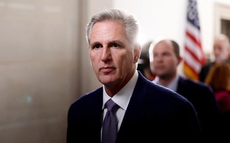 McCarthy blasts Democrats over 'damaging' anti-ICE rhetoric targeting federal immigration agents