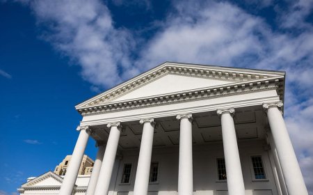 Virginia Democrats seek dozens of new tax hikes, including on dog walking and dry cleaning