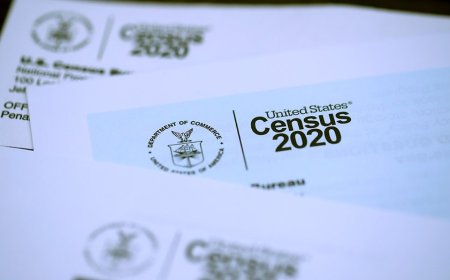 Missouri launches sweeping lawsuit to block census from counting illegal immigrants: 'hijack representation'