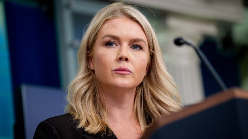 Leavitt accuses Democrats of 'lying from the very beginning' about Minneapolis ICE shooting