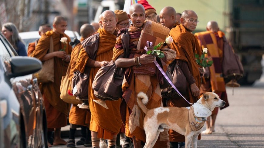 Buddhist monks walking 2,300 miles from Texas to DC go viral with 1M+ social media followers