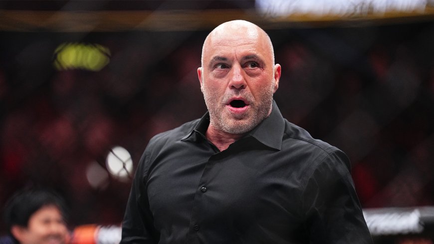 Joe Rogan calls Minnesota ICE shooting footage 'horrific,' 'very ugly' to shoot someone in the face