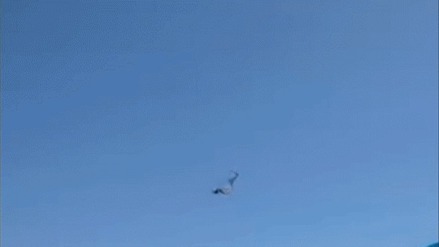 Florida paraglider survives 500-foot plunge into ocean