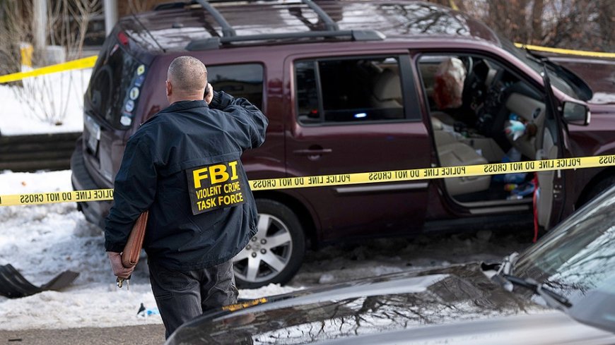 Voters sharply split along party lines over ICE agent’s fatal shooting: poll