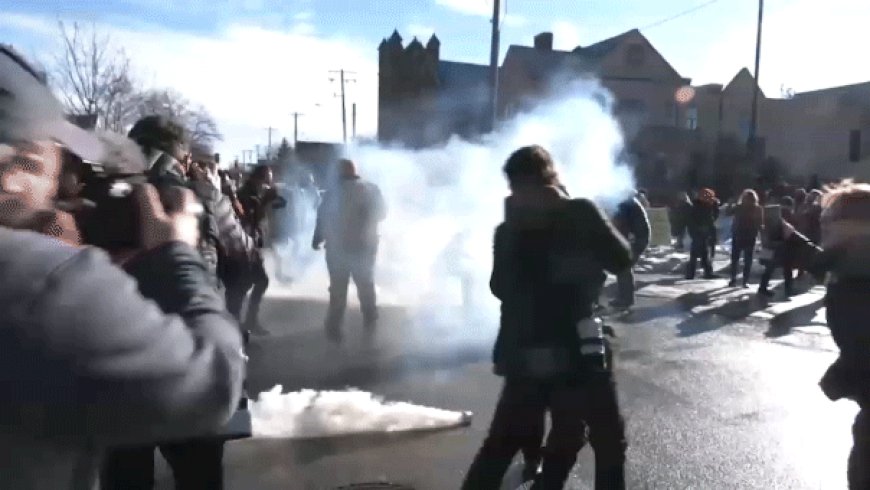 Minnesota anti-ICE agitators swarm, confront federal agents during enforcement operations