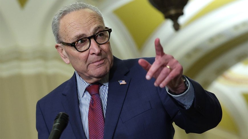 Schumer backs plan to fly Democratic senators, NYC cops to Minneapolis to confront ICE