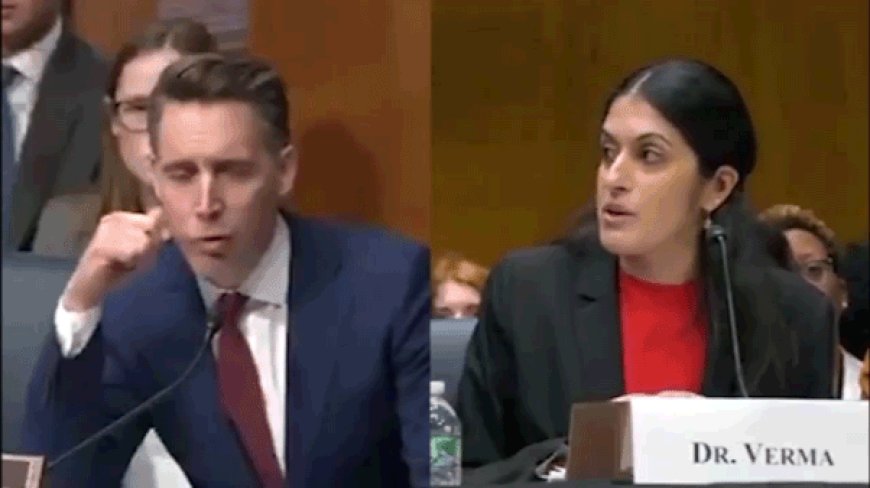 Hawley, Moody react after heated Senate abortion hearing exchange: 'Can men get pregnant?'