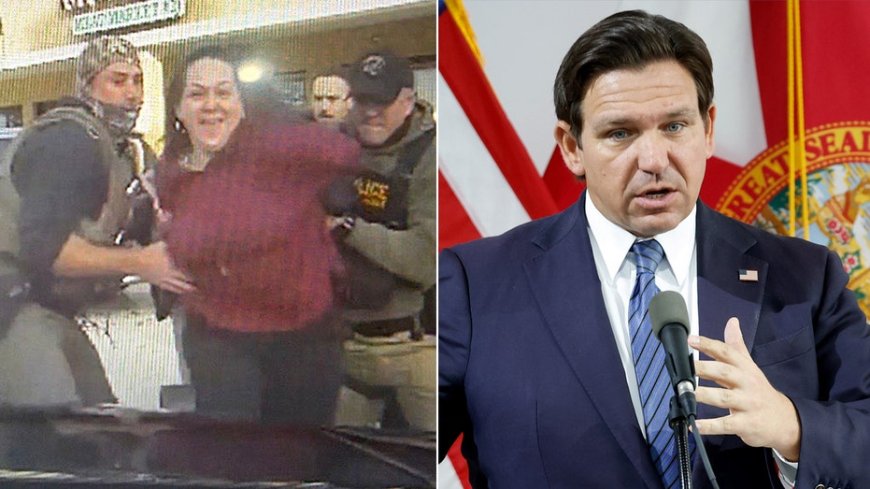 Smiling anti-ICE agitator accused of punching Florida trooper as DeSantis asserts, 'This is not Minneapolis'