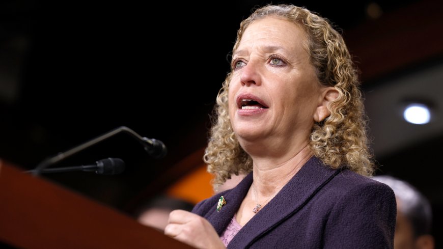 Wasserman Schultz rejects former Obama aide's essay arguing Dems 'will lose in 2028' without changes