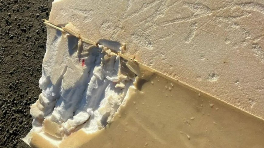 Surfer says shark attack felt 'like being hit by a car' as board bitten in half: reports