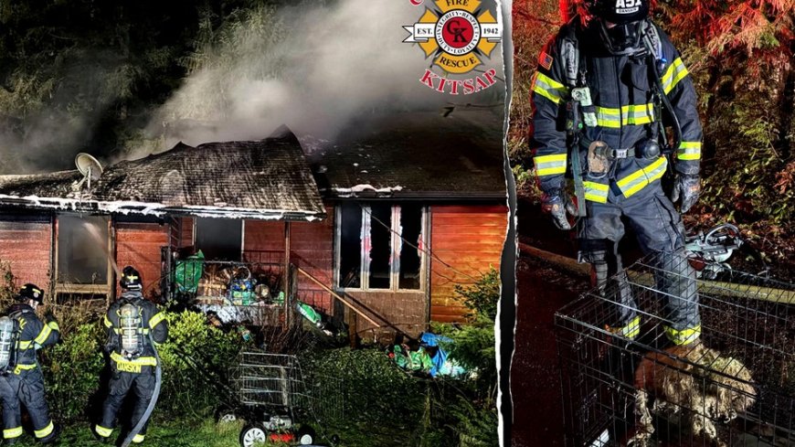 Dozens of dogs killed in fire at home of ‘breeder’ in Washington state, firefighters rescue 3 from flames