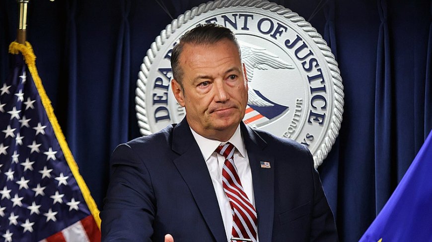 Acting ICE director defends agency's focus on targeting criminal illegal aliens, details threat to agents