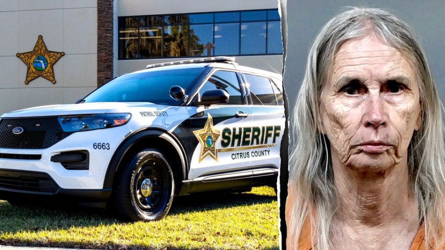 Florida woman, 81, arrested in murder-for-hire plot after sharing plan with undercover detective, sheriff says