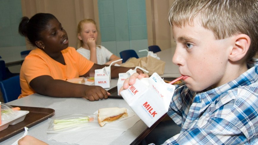 SEC BROOKE ROLLINS: Trump brings whole milk back to schools, undoing Obama’s war on real food