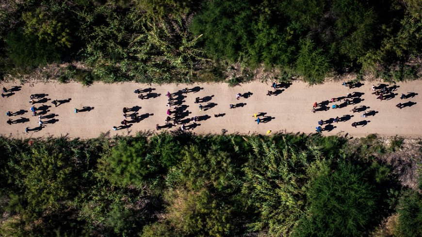 US drug overdose deaths plummet 20% as Trump administration cracks down on southern border