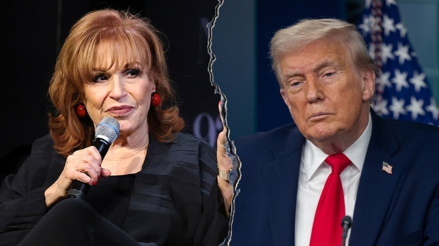 Joy Behar wants her legacy to be getting Trump out of office