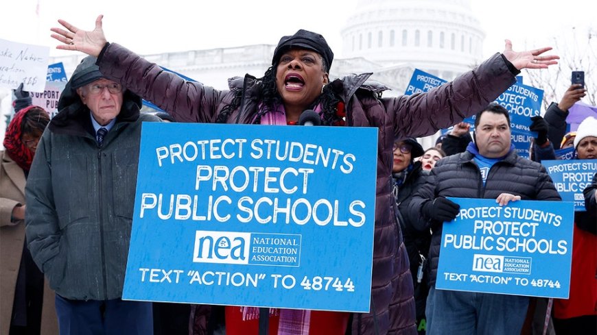 NEA insider blows whistle on 'toxic' culture and far-left politics inside teachers union: 'It's a cult'