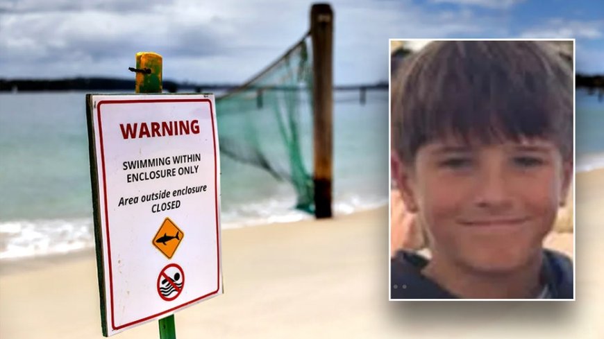 Boy, 12, dies following shark attack while swimming at popular cliff-jumping spot: 'We are heartbroken'