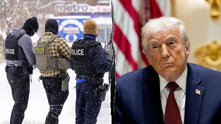 Conservative immigration experts split on whether Trump is 'backing down' in MN ICE fight