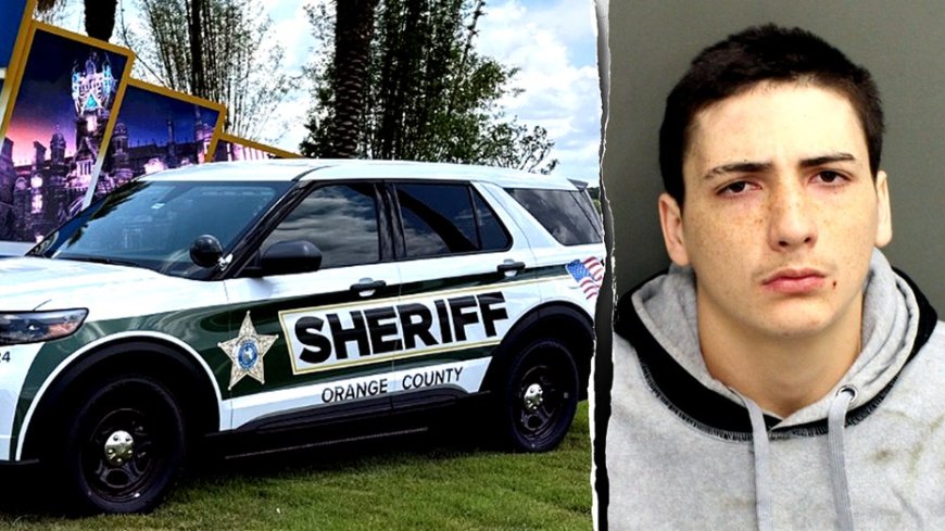 Florida man allegedly tells victim 'sorry... I need to see my grandmother' during armed carjacking