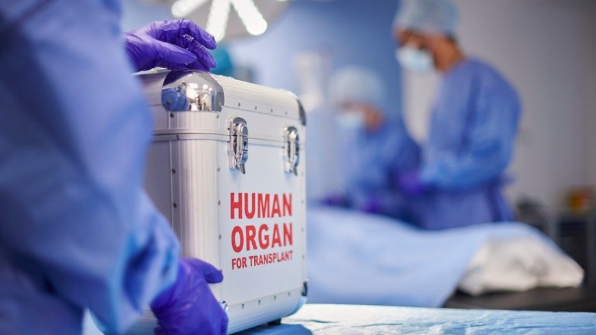 House launches investigation into hospitals allegedly letting foreign patients jump organ transplant lines