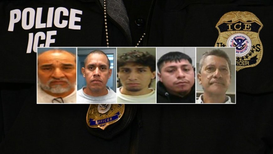 ICE reveals 'worst of the worst' arrests in just one day after rounding up 'thugs' convicted of vile crimes
