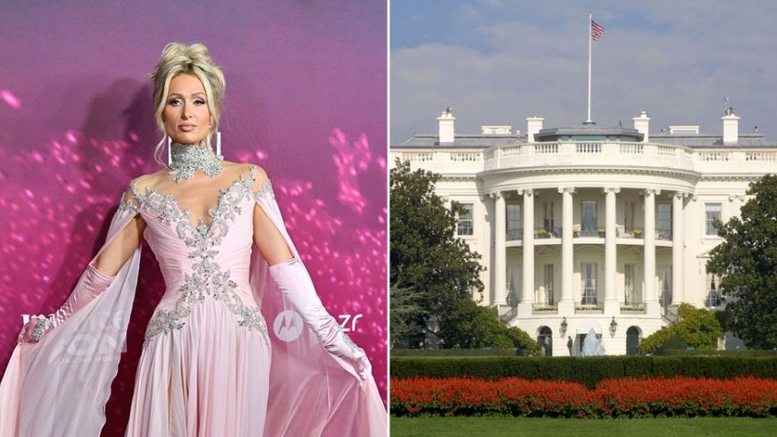 Paris Hilton says she would run for office only if she could 'paint the White House pink'