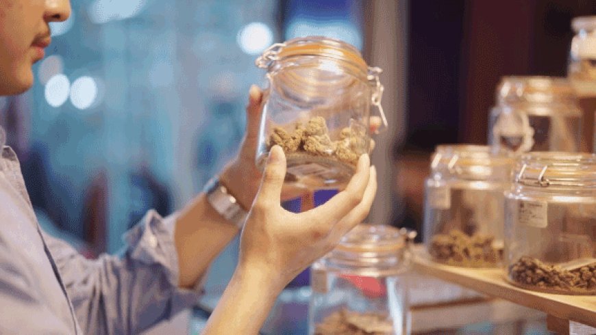 'High January’ fuels cannabis boom as experts flag some serious health dangers