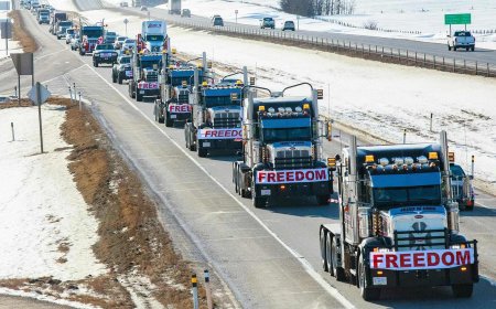 California says “that’s enough” — thousands risk losing their licenses, and it’s getting serious