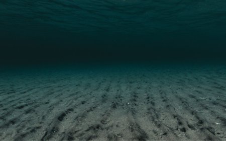 Scientists know more about the Moon than the ocean — and scientists didn’t expect the last discovery