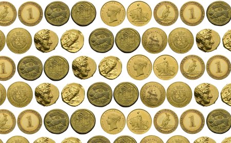 A man converted his fortune into 15,000 coins so that the Nazis would not find them, hid them underground out of fear, and his collection has just reappeared as a historical treasure valued at $160 million