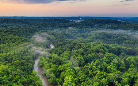 Since the 1970s, climate models have favored trees… but now, 50 years later, biology tells us something else we cannot ignore