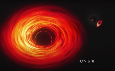 James Webb Space Telescope reveals new origin story for the universe's 1st supermassive black holes