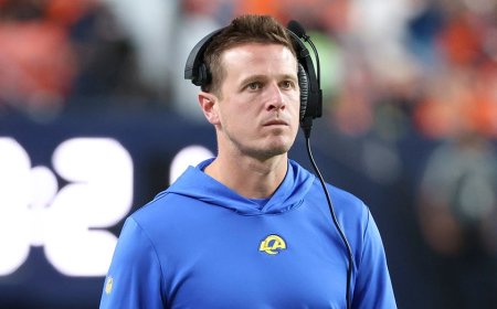 Cardinals hire Mike LaFleur, filling NFL's last head coach vacancy