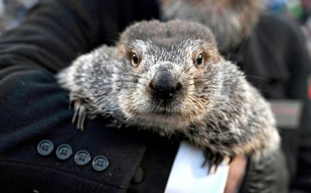 Groundhog Day: Punxsutawney Phil makes 140th weather prediction