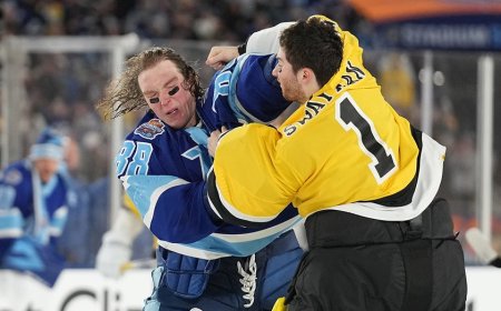 Lightning, Bruins goalies fight during Stadium Series matchup