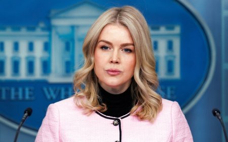 Leavitt says Trump will not ‘waver’ on illegal immigration crackdown despite Democratic backlash