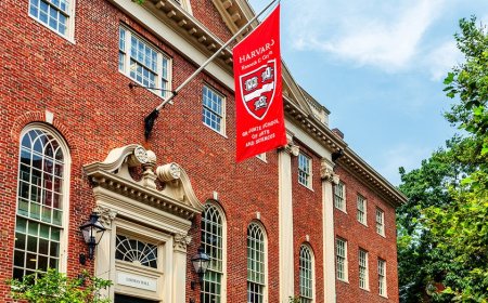 Harvard slashes A grades by nearly 7 percentage points after faculty crackdown on grade inflation
