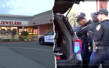 Good Samaritan hijacks crooks’ getaway car and rams it into jewelry store during smash-and-grab: police